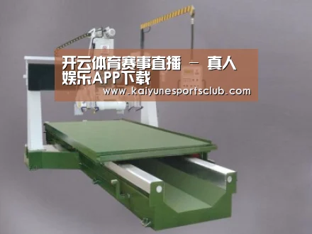 产品名称九