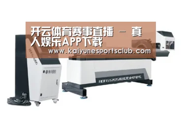 案例展示三