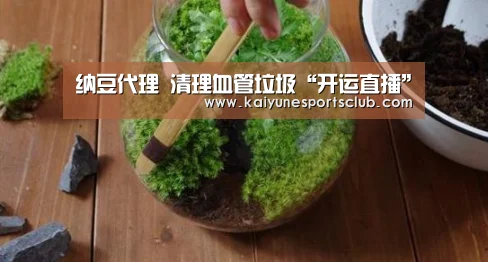 纳豆代理 清理血管垃圾“开运直播”(图2) 开运登录