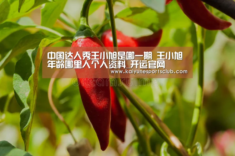 开运登录