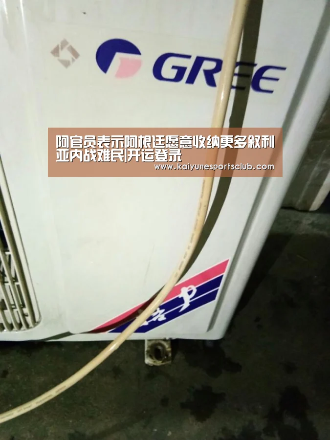 阿官员表示阿根廷愿意收纳更多叙利亚内战难民|开运登录(图3) 开运登录