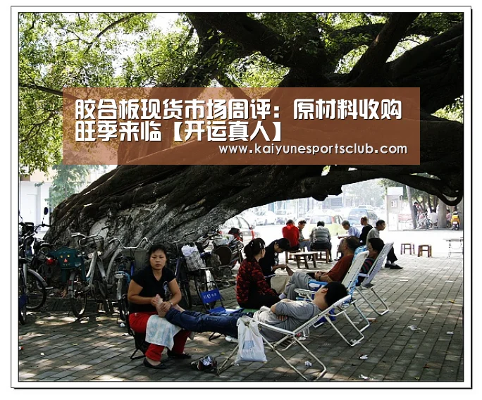 胶合板现货市场周评:原材料收购旺季来临【开运真人】(图2) 开运官网