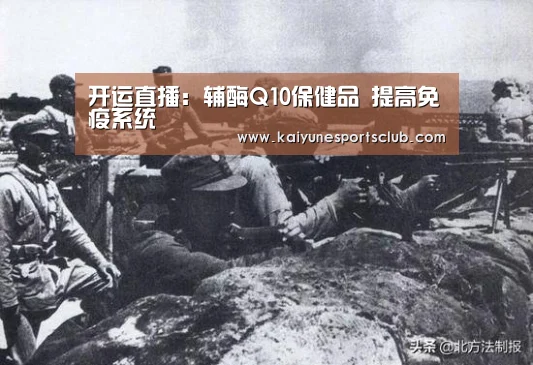 开运登录