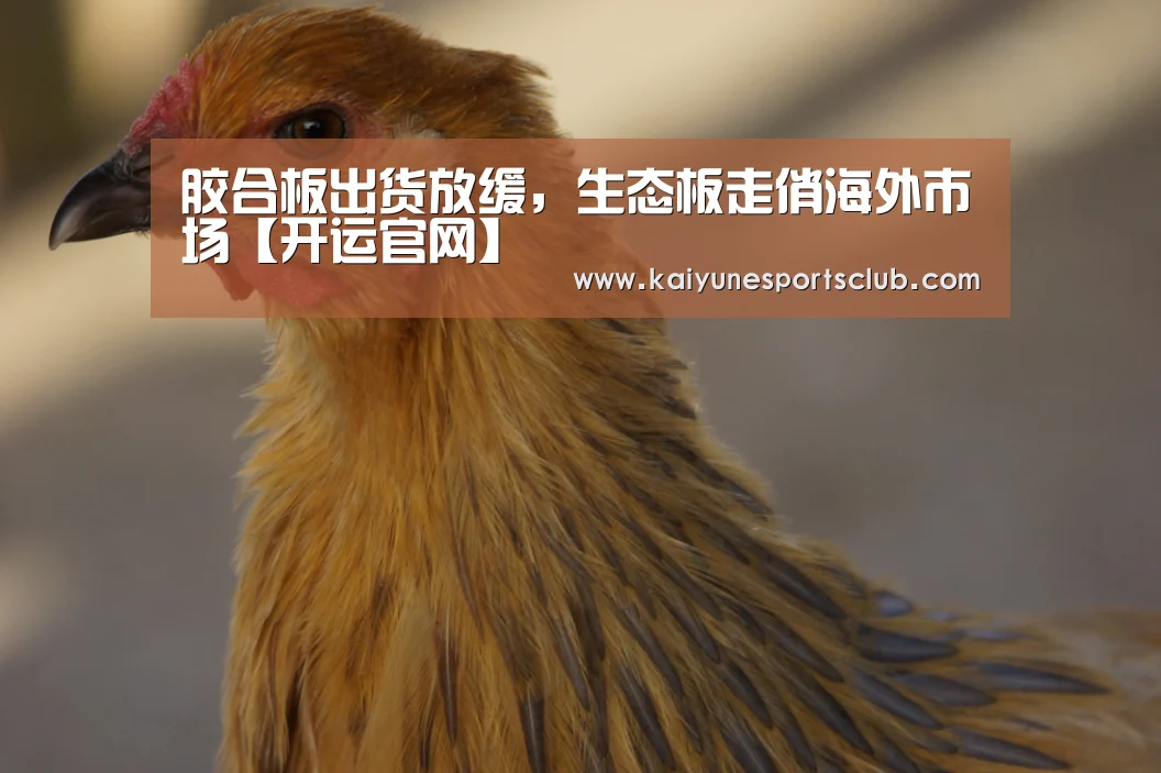 开运真人