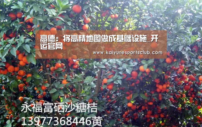开运真人