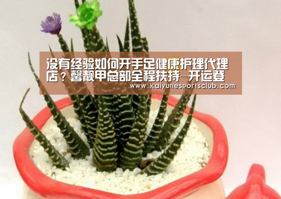 没有经验如何开手足健康护理代理店?馨靓甲总部全程扶持-开运登录(图3) 开运直播