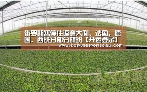 俄罗斯暂停往返意大利、法国、德国、西班牙部分航班【开运登录】(图1) 开运官网