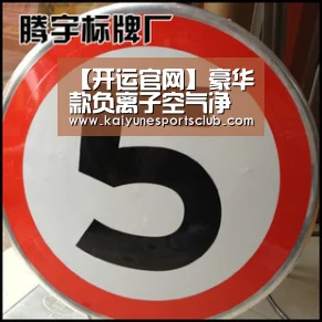 【开运官网】豪华款负离子空气净化器 净化空气清新(图3) 开运登录