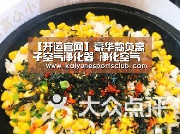 【开运官网】豪华款负离子空气净化器 净化空气清新(图2) 开运直播
