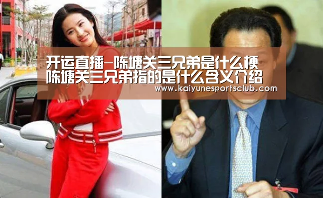 开运直播-陈塘关三兄弟是什么梗 陈塘关三兄弟指的是什么含义介绍(图1) 开运登录