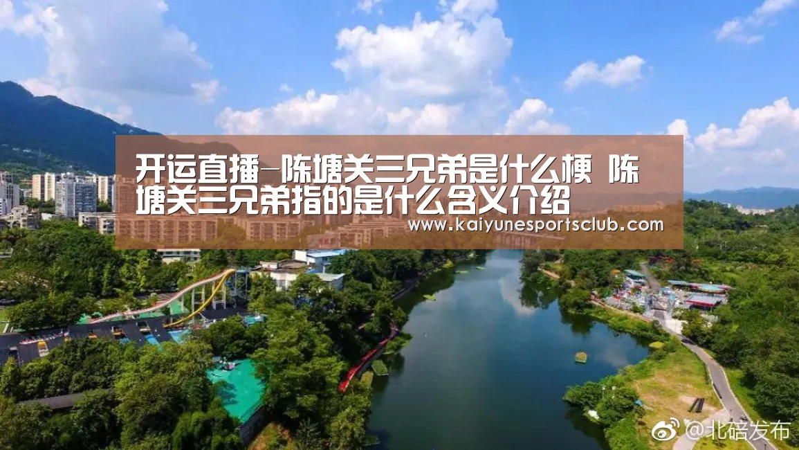 开运直播-陈塘关三兄弟是什么梗 陈塘关三兄弟指的是什么含义介绍(图3) 开运登录